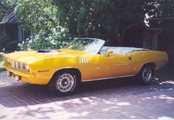 Cuda 71